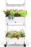 **"Indoor Aquatic Plant Growth System - Versatile 42 Pod Hydroponic Planter with Easy Setup"**