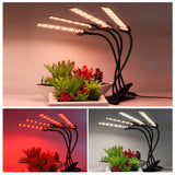 DC12V Full Spectrum LED Grow Light For Plants 20W 40W 60W 80W SMD2835 Dimmable Timing Phyto Lamp For Greenhouse Tent