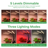DC12V Full Spectrum LED Grow Light For Plants 20W 40W 60W 80W SMD2835 Dimmable Timing Phyto Lamp For Greenhouse Tent