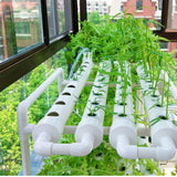 54 Holes Hydroponic Piping Site Grow Kit Deep Water Culture Planting Box Gardening System Nursery Pot Hydroponic Rack