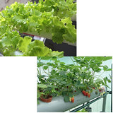54 Holes Hydroponic Piping Site Grow Kit Deep Water Culture Planting Box Gardening System Nursery Pot Hydroponic Rack