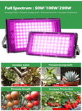 LED Grow Light Phyto Lamp 220V Full Spectrum For Greenhouse Hydroponic Plants 50W 100W 200W Growing Lamp Standing For Seedlings