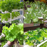 36 Holes Hydroponic Piping Site Grow Kit Deep Water Culture Planting Box Gardening System Nursery Pot Hydroponic Rack