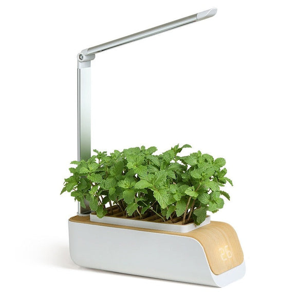 Automatic Water Absorption Soilless Culture Plant Growth Lights Flower Pot Hydroponics Growing System Smart Growing Led Lamp