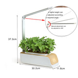 Automatic Water Absorption Soilless Culture Plant Growth Lights Flower Pot Hydroponics Growing System Smart Growing Led Lamp